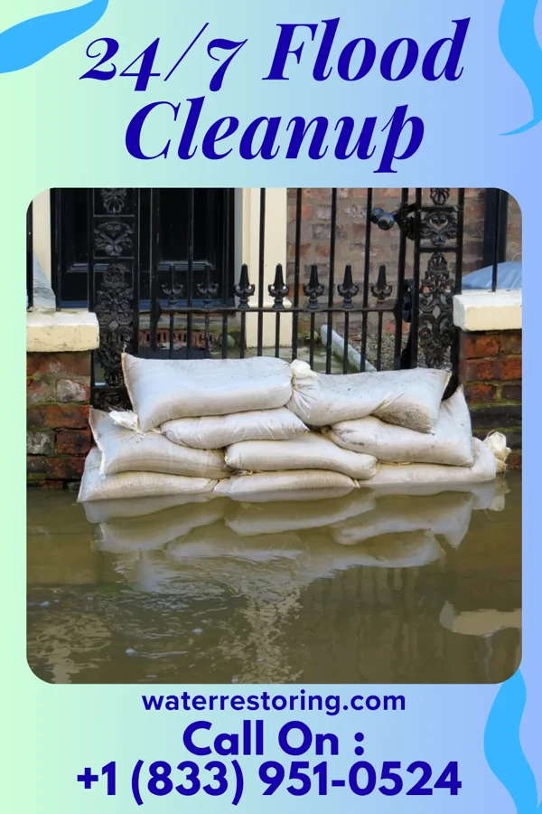 24/7 Flood Cleanup in Swansea, SC
