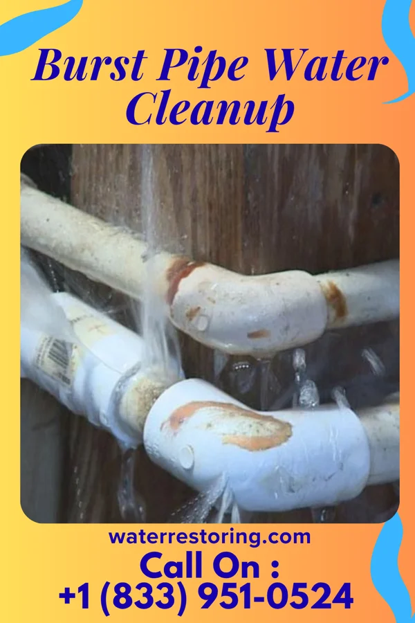 Burst Pipe Water Cleanup in Swansea, SC