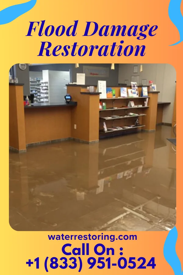 Flood Damage Restoration in Swansea, SC