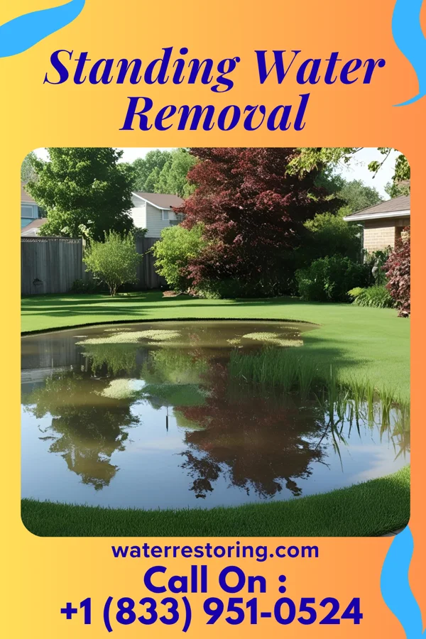 Standing Water Removal in Swansea, SC